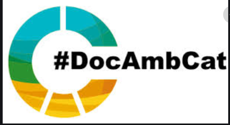 Docambcat logo