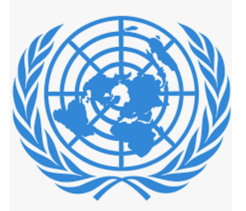 Naciones unidas logo