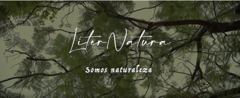 Taller Liternatura