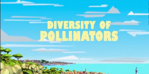 Diversity pollinators